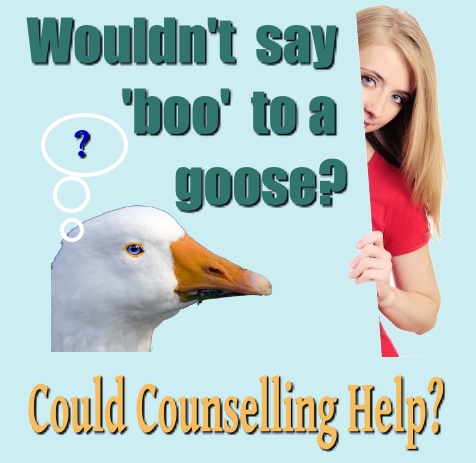 Wouldn't say boo to a goose?  Could counselling help?  Goose image courtesy of Dan and Shy Lady by Michal Marcol at FreeDigitalPhotos.net